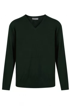 V-Neck Sweatshirt (+logo)